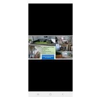 2 Zimmer Wohnung als WG (bitte komplett lesen) - Mörfelden-Walldorf