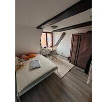 Gemütliches WG-Zimmer 11m^2 330€ Warm - Greifswald