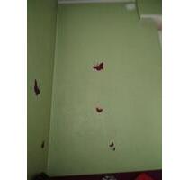 WG Zimmer ab Januar oder Dezember - Offenburg Elgersweier