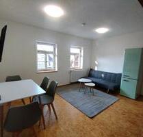 Voll möblierte 2 Zimmer Wohnung - neu renoviert - Sinsheim
