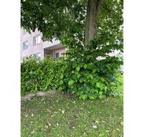 4 Zimmer Wohnung - sofort verfügbar - Melsdorf