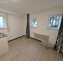 1 Zimmer Apartment Stuttgart Süd - Lenningen