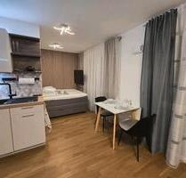 Möblierte 1.5 Zimmer Wohnung Furnished 1.5 room apartment - Nürnberg Herrnhütte