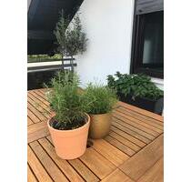 Große 2-Zimmer Wohnung mit Dachterrasse und Balkon - Sulzbach am Main