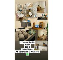 Möbliertes 1 Zimmer Apartment in SG-Wald zu Vermieten - Solingen Höhscheid
