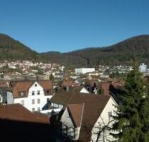 1 Zimmer Apartment - 380,00 EUR Kaltmiete, ca.  21,00 m² in Donzdorf (PLZ: 73072)