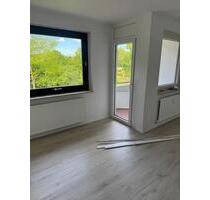 Neu renovierte 1,5 Zimmer Wohnung Rhüden - Seesen
