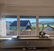 stilvolle 4 Zimmer Wohnung mit Kamin und Garten - Büdingen