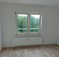 1 Zimmer Apartment - 420,00 EUR Kaltmiete, in Linden (PLZ: 35440)