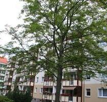 Den Kaßberg spüren...! 3 Zimmer mit Balkon - Chemnitz Altendorf
