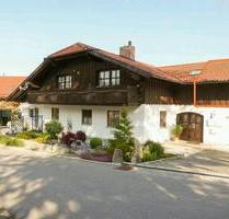 Wohnung Zimmer Appartment - 350,00 EUR Kaltmiete, ca.  30,00 m² in Waldkirchen (PLZ: 94065)