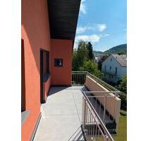 Kernsanierte 3 Zimmer Wohnung in 54293 Trier-Pfalzel