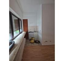 1 Zimmer Appartment EG in Schönau