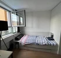 1 Zimmer Wohnung Verfügbar für Übernahme – Dezember oder Januar - Leipzig Altwest