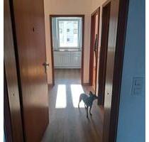 Stilvolle 2 Zimmer Wohnung zu vermieten - Hildesheim Oststadt/Stadtfeld
