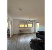 Helle 2-Zimmer Wohnung zur Untermiete - Freiburg im Breisgau Betzenhausen