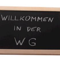 4 Zimmer WG Wohnung ab September frei - Nürnberg Erlenstegen