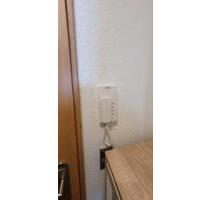 2 Zimmer Wohnung vollst. renoviert & möbiliert - Ludwigshafen am Rhein