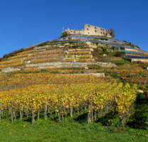 WG in Staufen - 700,00 EUR Kaltmiete, ca.  110,00 m² in Staufen im Breisgau (PLZ: 79219)