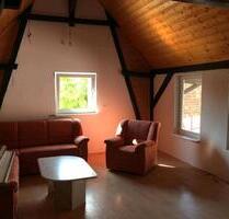 1,5 Zimmer Wohnung in Veltheim an der Ohe - Sickte