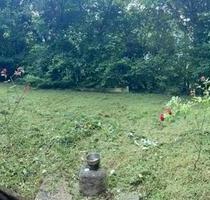 WG-Zimmer mit Terrassen- und Gartenzugang in der Gaußstr. - Stuttgart Stuttgart-West