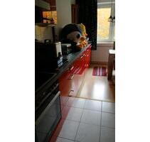 3 Zimmer Wohnung - 745,00 EUR Kaltmiete, in Wertheim (PLZ: 97877)