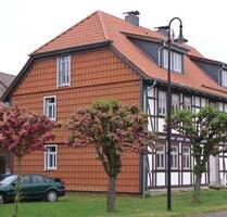 Sonniges 1 Zimmer Apartment mit Küche und Bad - Herzberg am Harz