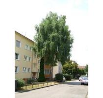 Gemütliche 2-Zimmer Wohnung mit Balkon in Hohenkreuz - Esslingen am Neckar Hegensberg