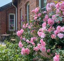 Charmante 3 Zimmer Wohnung im Gulfhof Bunderhammrich
