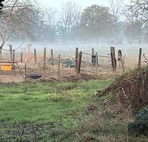 Großzügige 3 Zimmer Dachgeschosswohnung Engelbostel, Schulenburg - Langenhagen