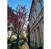 Zimmer in Haus WG frei, Beuel ️‍ - Bonn Beuel-Mitte