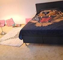 WG- Zimmer mit 16 qm 500 € - 500,00 EUR Kaltmiete, in Saerbeck (PLZ: 48369)