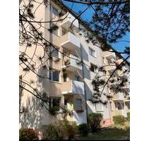 Vermiete 3 Zimmer Wohnung in Ingelheim am Rhein