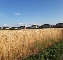 Damme. 2-Zimmer Wohnung mit Terrasse und Stellplatz.