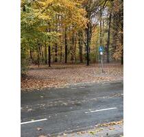 3 Zimmer Wohnung Wittringer Wald - Gladbeck Brauck