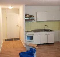 Geräumige 1-Zimmer Wohnung mit Balkon und Blick ins Grüne - Ludwigshafen am Rhein Ludwigshafen-Hemshof