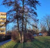 Attraktive 2 Zimmer Wohung mit Balkon - Chemnitz Kapellenberg