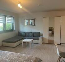 1 Zimmer Wohnung mit Garten und Neckarblick - Heidelberg Peterstal