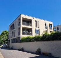 2-Zimmer Mietwohnung im Zooviertel mit Terrasse! Wentzel-Dr. - Hannover Mitte