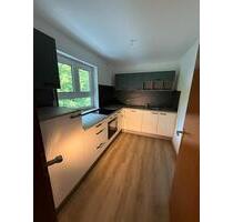Helle 2 Zimmer Wohnung mit EK, Balkon, Erstbezug nach Renovierung - Glauchau