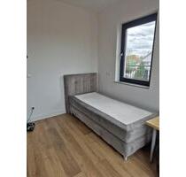 1 Zimmer in 3 Zimmer Wohnung - 760,00 EUR Kaltmiete, ca.  12,00 m² in Berlin (PLZ: 12105) Tempelhof-Schöneberg