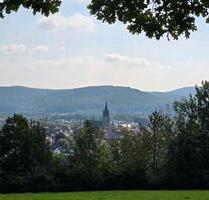 2 Zimmer - Wohnung mit Balkon - 470,00&nbsp;EUR Kaltmiete, in Bad Driburg (PLZ: 33014)