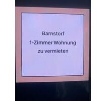 1 Zimmer Appartement plus Bad - 450,00 EUR Kaltmiete, in Barnstorf (PLZ: 49406)