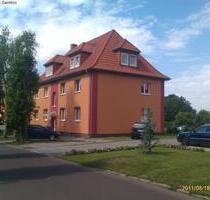 3 Zimmer Wohnung im 1.OG- Wohnen in zentraler ruhiger Lage in Burg- WG Nr. 4
