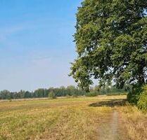 2- Zimmer Wohnung in Willingshausen Loshausen zu vermieten