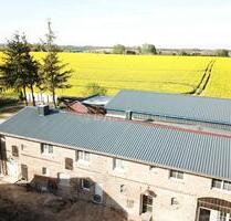 Großzügige 5 Zimmer Wohnung mit Weitblick, 2 Terrassen, Garten, Keller & Stellplätzen - Dummerstorf