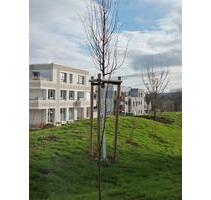 3 Zimmer Erdgeschoss Wohnung mit Garten - Wennigsen (Deister)