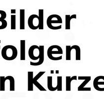 1 Zimmer Wohnung - 850,00&nbsp;EUR Kaltmiete, ca.&nbsp; 37,00&nbsp;m&sup2; in Berlin (PLZ: 12157) Tempelhof-Schöneberg