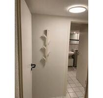 Renoviertes 1 Zimmer Apartment „Rundum-Sorglos-Paket“ - Pfungstadt
