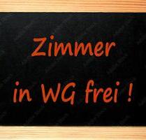 WG-Zimmer in 3er WG - 800,00 EUR Kaltmiete, in Berlin (PLZ: 13439) Reinickendorf